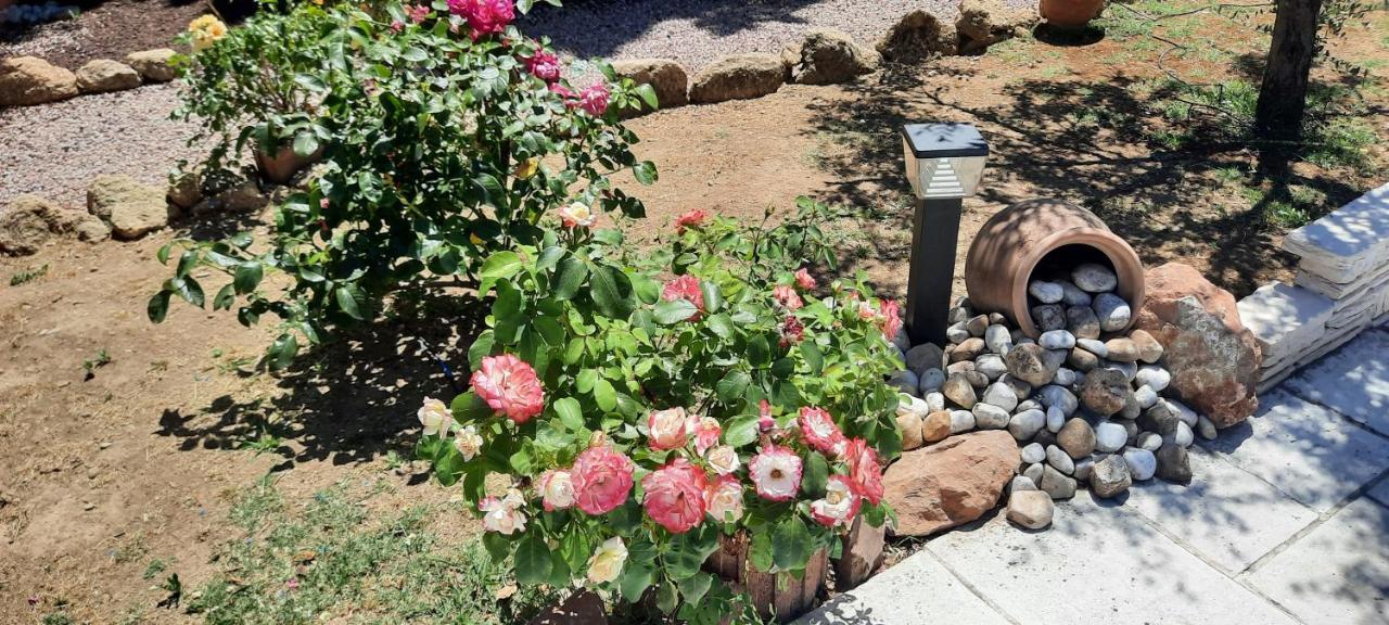 Bed and Breakfast Fenetre Sur Les Alpilles Saint-Martin-de-Crau Exterior foto