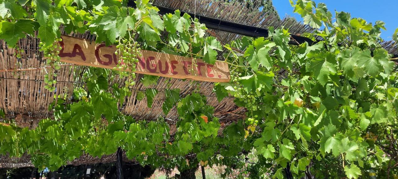 Bed and Breakfast Fenetre Sur Les Alpilles Saint-Martin-de-Crau Exterior foto